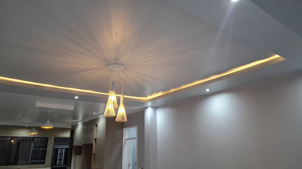 Ceiling project interior